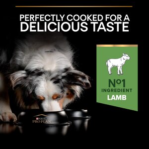 Pro plan dog food lamb and rice clearance